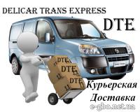 Delicar Trans Express DTE - Фото 3
